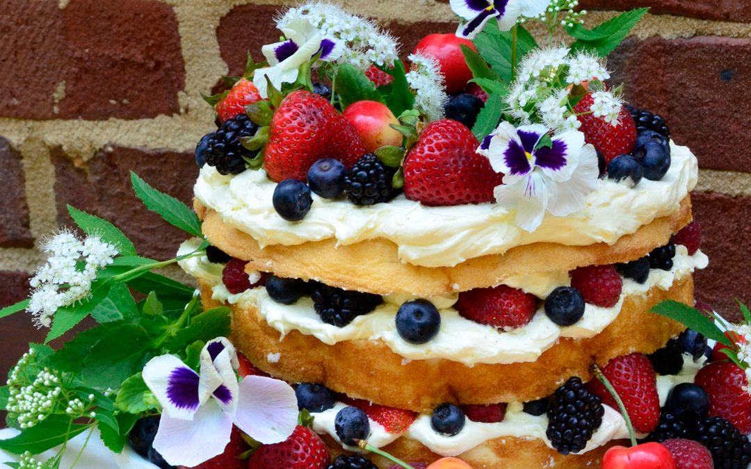 PATTY’S PICK: Angel Food with Lemon Filling and Berries