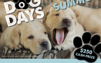DOG DAYS OF SUMMER: PET PHOTO CONTEST