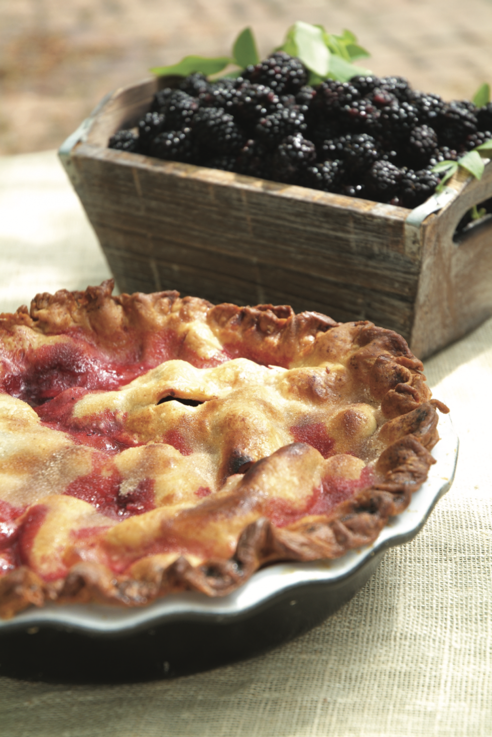 BLACKBERRY COBBLER WITH BUTTER CRUST Mississippi Magazine