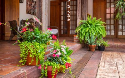 CREATE A GREAT CONTAINER GARDEN