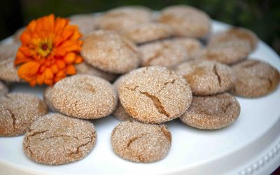 GINGERSNAPS