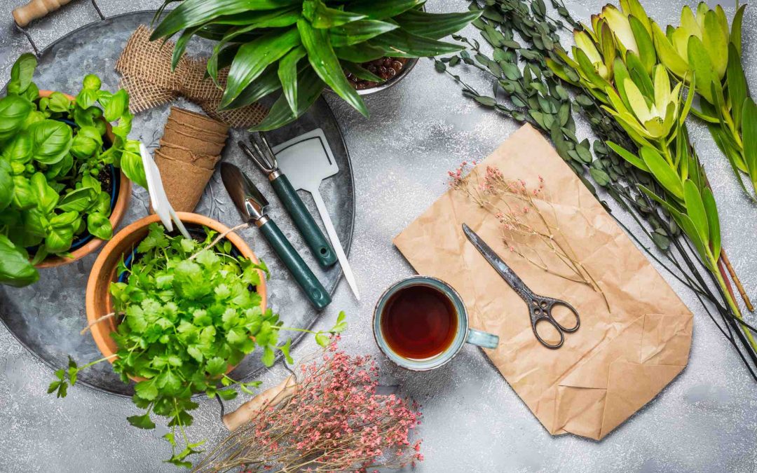 A DELIGHTFUL HERB GARDEN