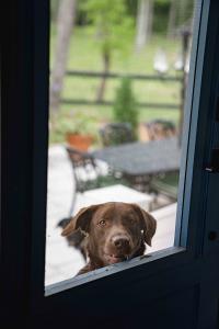 Keyser_Cottage-124