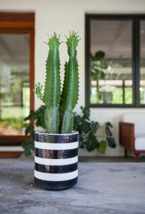 Mississippi Magazine55