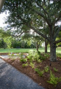 Mississippi Magazine66