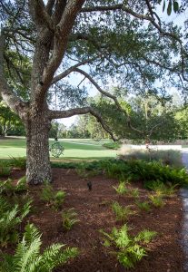 Mississippi Magazine70