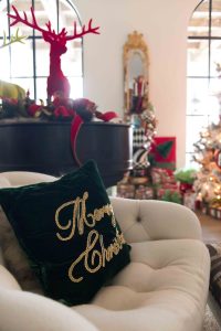 Mississippi Magazine_HattiesburgChristmas_13