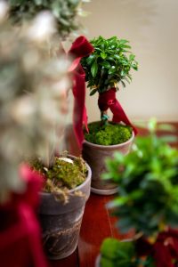 Mississippi Magazine_HattiesburgChristmas_41