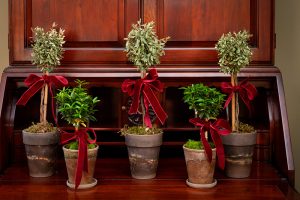 Mississippi Magazine_HattiesburgChristmas_42