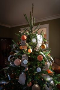 Mississippi Magazine_HattiesburgChristmas_51