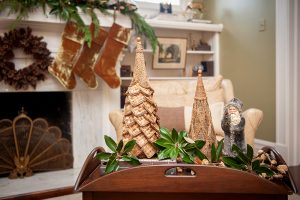 Mississippi Magazine_HattiesburgChristmas_54