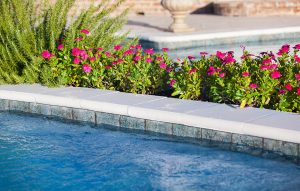 REUNION POOL_MISSISSIPPI MAGAZINE3