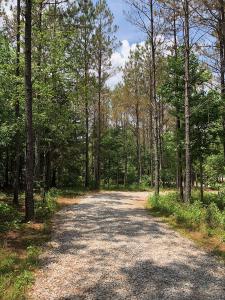 Splinter Creek28