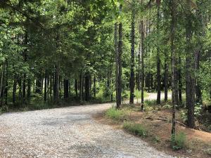 Splinter Creek29