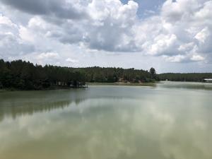 Splinter Creek33